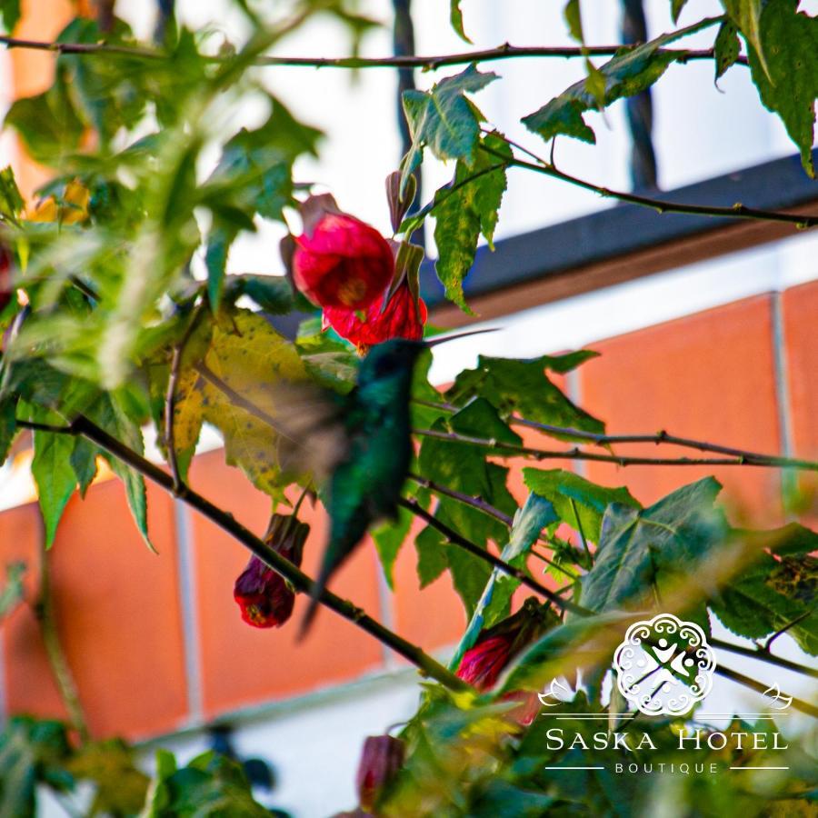 Saska Boutique Hotel Cusco Bagian luar foto